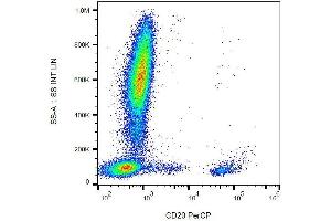 Surface staining of human peripheral blood with anti-CD20 PerCP. (CD20 antibody  (PerCP))