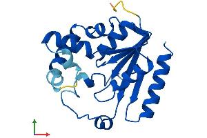 Protein Structure (PS) image for Phosphomevalonate Kinase (PMVK) (AA 1-192) protein (His tag) (ABIN7560883)