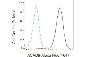 Flow cytometric analysis of ACAD9 expression in HepG2 cells using ACAD9 antibody (ABIN7797495), 1:2,000). (ACAD9 antibody)