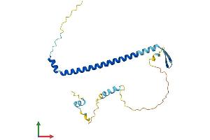 AlphaFold protein structure predicition of Human Recombinant NOL12 Protein, UniprotID Q9UGY1 (NOL12 Protein (AA 1-213) (His tag))