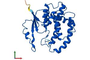 AlphaFold protein structure predicition of Mouse Recombinant Gstm5 Protein, UniprotID P48774 (GSTM5 Protein (AA 1-224) (His tag))