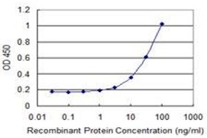 Detection limit for recombinant GST tagged CDX1 is 1 ng/ml as a capture antibody. (CDX1 antibody  (AA 126-215))