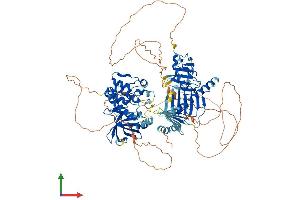 AlphaFold protein structure predicition of Mouse Recombinant Plk4 Protein, UniprotID Q64702