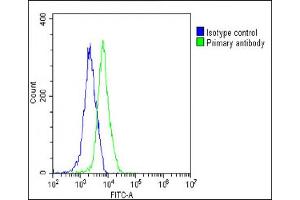 Overlay histogram showing Hela cells stained with (ABIN6242529 and ABIN6578789)(green line). (PKN1 antibody  (AA 836-870))