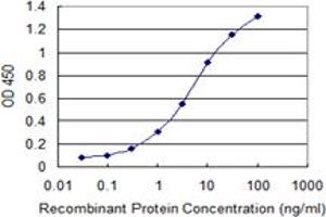Detection limit for recombinant GST tagged ULK2 is 0. (ULK2 antibody  (AA 743-843))