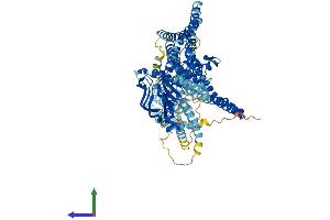 AlphaFold protein structure predicition of Mouse Recombinant Abcb6 Protein, UniprotID Q9DC29