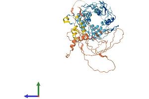 AlphaFold protein structure predicition of Human Recombinant ZNF416 Protein, UniprotID Q9BWM5
