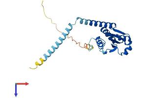 AlphaFold protein structure predicition of Mouse Recombinant Txndc9 Protein, UniprotID Q9CQ79 (TXNDC9 Protein (AA 1-226) (His tag))