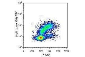 Flow Cytometry (FACS) image for anti-Bromodeoxyuridine (BrdU) antibody (FITC) (ABIN2661346) (BrdU antibody  (FITC))