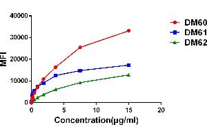 Titration (Titr) image for anti-G Protein-Coupled Receptor, Family C, Group 5, Member D (GPRC5D) (AA 1-27) antibody (ABIN6964058)
