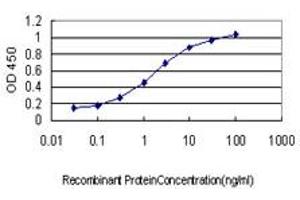 Detection limit for recombinant GST tagged UBTF is approximately 0. (UBTF antibody  (AA 551-650))
