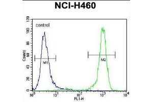 CHRND Antibody (Center) flow cytometric analysis of NCI-H460 cells (right histogram) compared to a negative control cell (left histogram). (CHRND antibody  (Middle Region, Subunit delta))