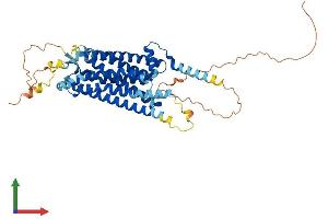 Protein Structure (PS) image for G Protein-Coupled Receptor 39 (GPR39) (AA 1-456) protein (His tag) (ABIN7557558)