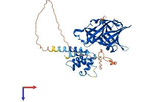 AlphaFold protein structure predicition of Mouse Recombinant Ifi205a Protein, UniprotID Q8CGE8 (Ifi205 Protein (AA 1-404) (His tag))