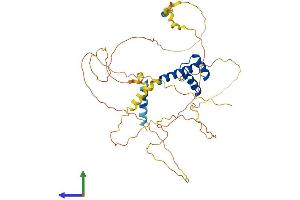 AlphaFold protein structure predicition of Human Recombinant ALX4 Protein, UniprotID Q9H161