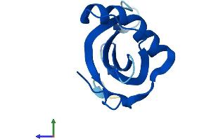 AlphaFold protein structure predicition of Human Recombinant CSTA Protein, UniprotID P01040 (CSTA Protein (AA 1-98) (His tag))