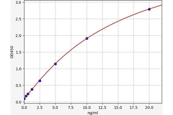 DROSHA ELISA Kit