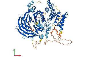 AlphaFold protein structure predicition of Human Recombinant WDTC1 Protein, UniprotID Q8N5D0 (WDTC1 Protein (AA 1-677) (His tag))