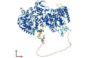 Protein Structure (PS) image for Nucleolar Protein 6 (NOL6) (AA 1-1152) protein (His tag) (ABIN7564719)