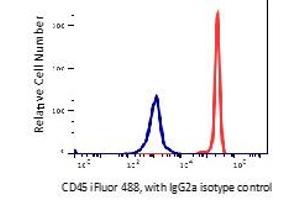 Flow Cytometry (FACS) image for anti-Protein tyrosine Phosphatase, Receptor Type, C (PTPRC) antibody (iFluor™488) (ABIN6253043) (CD45 antibody  (iFluor™488))