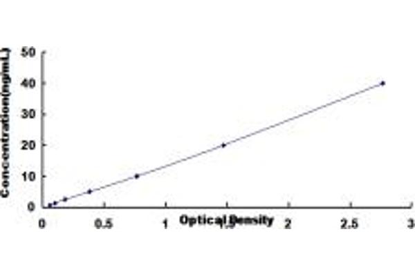 Biliverdin Reductase ELISA Kit