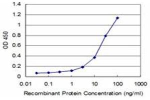 Detection limit for recombinant GST tagged DCPS is approximately 3ng/ml as a capture antibody. (DCPS antibody  (AA 1-337))