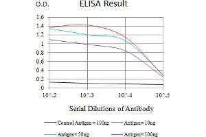 Black line: Control Antigen (100 ng),Purple line: Antigen (10 ng), Blue line: Antigen (50 ng), Red line:Antigen (100 ng) (Integrin beta 3 antibody  (AA 27-179))