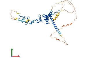 Protein Structure (PS) image for LIM Homeobox Transcription Factor 1, alpha (LMX1A) (AA 1-382) protein (His tag) (ABIN7549050)