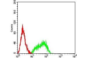 Flow cytometric analysis of HL-60 cells using LRP8 mouse mAb (green) and negative control (red).