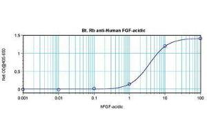 Image no. 1 for anti-Fibroblast Growth Factor 1 (Acidic) (FGF1) antibody (Biotin) (ABIN465423) (FGF1 antibody  (Biotin))