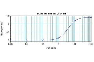 Image no. 1 for anti-Fibroblast Growth Factor 1 (Acidic) (FGF1) antibody (Biotin) (ABIN465423) (FGF1 antibody  (Biotin))