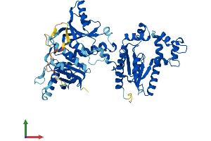 AlphaFold protein structure predicition of Mouse Recombinant Coasy Protein, UniprotID Q9DBL7