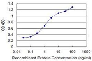 Detection limit for recombinant GST tagged GNPNAT1 is 0. (GNPNAT1 antibody  (AA 1-90))
