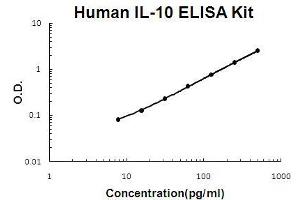 IL-10 ELISA Kit