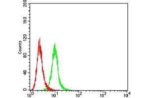 Flow cytometric analysis of K562 cells using CD10 mouse mAb (green) and negative control (red). (MME antibody  (AA 549-750))