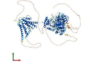 AlphaFold protein structure predicition of Human Recombinant KCNMA1 Protein, UniprotID Q12791