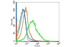 Mouse splenocytes probed with CD33 Polyclonal Antibody, Unconjugated  at 1:100 for 30 minutes followed by incubation with a PE Conjugated secondary (green) for 30 minutes compared to control cells (blue), secondary only (light blue) and isotype control (orange). (CD33 antibody  (AA 101-200))