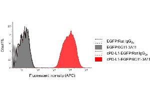 Validation for canine PD-L1 CHO-DG44 cells overexpressing canine PD-L1 fused with EGFP (cPD-L1-EGFP) or EGFP were treated with anti-PD-L1 antibody (6C11-3A11, 10 g/mL) or rat IgG2aisotype (10 g/mL) as a negative control for 30 min at R.