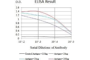 Black line: Control Antigen (100 ng),Purple line: Antigen (10 ng), Blue line: Antigen (50 ng), Red line:Antigen (100 ng) (IL2RG antibody  (AA 23-262))