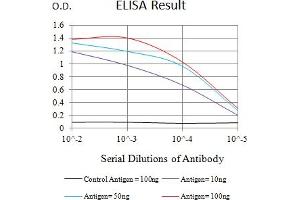 Black line: Control Antigen (100 ng),Purple line: Antigen (10 ng), Blue line: Antigen (50 ng), Red line:Antigen (100 ng) (IL2RG antibody  (AA 23-262))