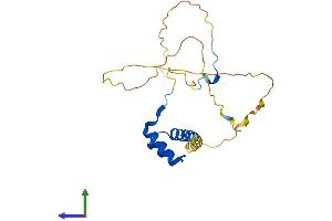 AlphaFold protein structure predicition of Human Recombinant HOXB6 Protein, UniprotID P17509 (HOXB6 Protein (AA 1-224) (His tag))