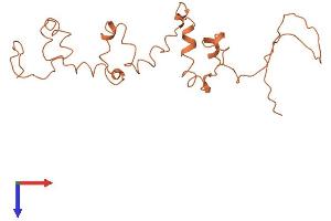 Keratin Associated Protein 4-6 (KRTAP4-6) (AA 1-205) protein (His tag)