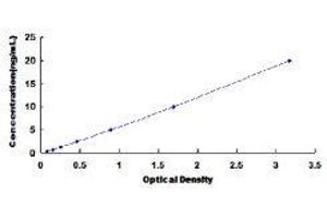 Prokineticin Receptor 2 (PROKR2) ELISA Kit