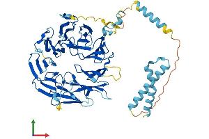 AlphaFold protein structure predicition of Mouse Recombinant Eif2a Protein, UniprotID Q8BJW6