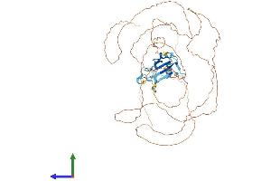 AlphaFold protein structure predicition of Human Recombinant TAF15 Protein, UniprotID Q92804 (TAF15 Protein (AA 1-592) (His tag))