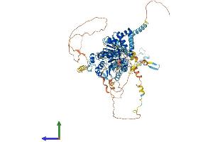 AlphaFold protein structure predicition of Human Recombinant DDX54 Protein, UniprotID Q8TDD1 (DDX54 Protein (AA 1-881) (His tag))
