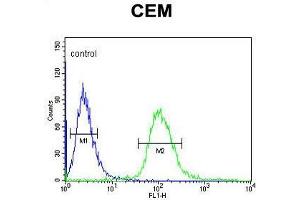 UTY Antibody (C-term) flow cytometric analysis of CEM cells (right histogram) compared to a negative control cell (left histogram). (UTY antibody  (C-Term))