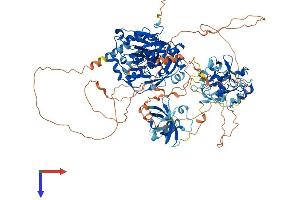 AlphaFold protein structure predicition of Human Recombinant KDM4C Protein, UniprotID Q9H3R0 (KDM4C Protein (AA 1-1056) (His tag))