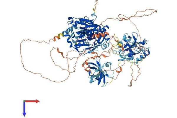 KDM4C Protein (AA 1-1056) (His tag)