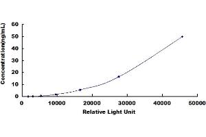 ELISA image for Matrix Metallopeptidase 13 (Collagenase 3) (MMP13) CLIA Kit (ABIN1081744)